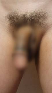 790410.jpg (486KB)