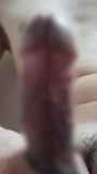 790414.jpg
(4KB)
