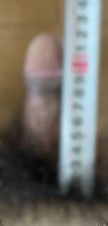 790439.jpg (234KB)