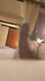 790471.jpg
(5KB)