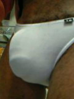 790525.jpg (33KB)