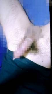790536.jpg (33KB)