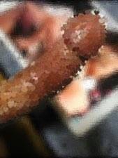 790744.jpg (9KB)