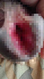 790748.jpg (185KB)