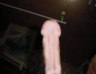 790860.jpg (34KB)