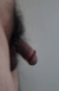 791036.jpg (431KB)