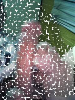 791097.jpg (164KB)