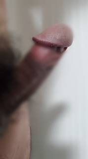 791103.jpg (93KB)