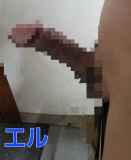 791247.jpg
(8KB)