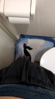 791253.jpg (81KB)