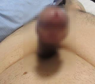 791530.jpg (92KB)