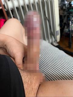 791567.jpg (240KB)