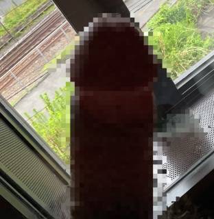 792387.jpg (145KB)