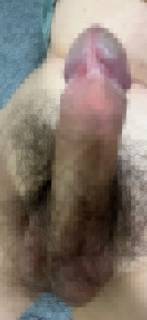 792662.jpg (292KB)