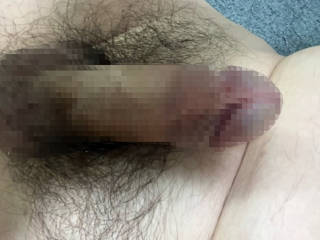793096.jpg (229KB)
