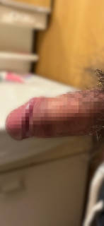793254.jpg (183KB)
