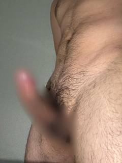 793315.jpg (250KB)