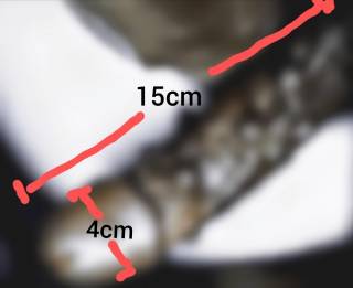 793458.jpg (262KB)