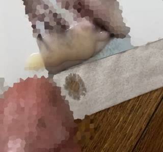 793646.jpg (56KB)