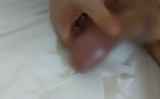 793764.jpg
(3KB)