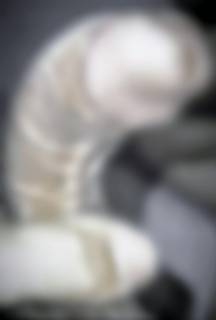 794001.jpg (37KB)