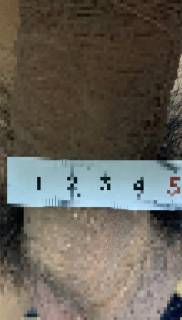 794165.jpg (192KB)