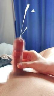 794564.jpg (455KB)