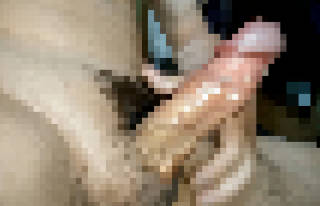 794618.jpg (177KB)
