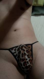 794812.jpg (362KB)