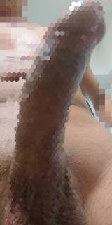 794904.jpg (255KB)
