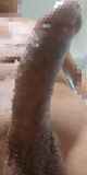 794904.jpg
(6KB)