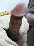 794910.jpg
(11KB)