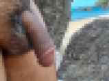 795142.jpg 
								(9KB)