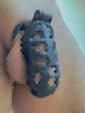 795212.jpg
(15KB)