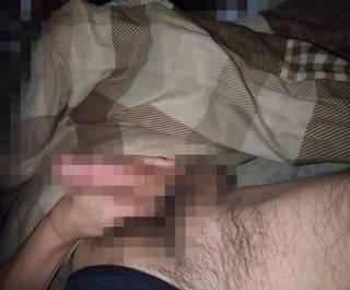 795305.jpg (93KB)