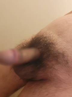 795371.jpg (56KB)