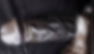 795570.jpg (106KB)