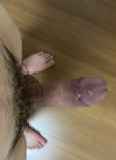 795624.jpg
(13KB)