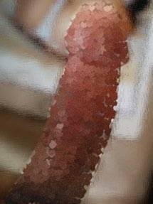 796184.jpg (12KB)