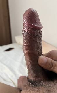 796241.jpg (74KB)