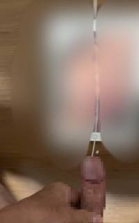 796557.jpg (174KB)
