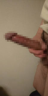 796873.jpg (477KB)