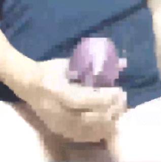 797405.gif (472KB)
