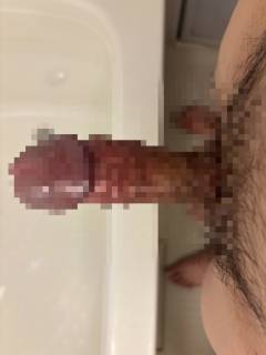 797413.jpg (196KB)
