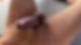 797636.jpg
(3KB)