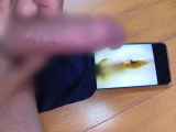 797840.jpg
(8KB)