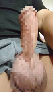 797908.jpg (347KB)