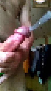 798029.jpg (173KB)