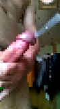798029.jpg
(8KB)