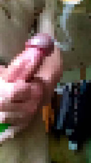 798030.jpg (172KB)
